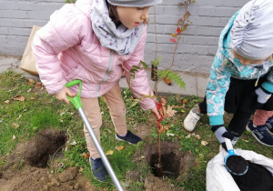 Dzieci sadzą drzewa z okazji Święta Drzewa